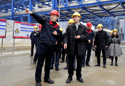 劉忠調(diào)研重慶華峰